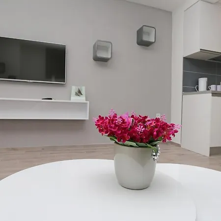 Modern Apartment