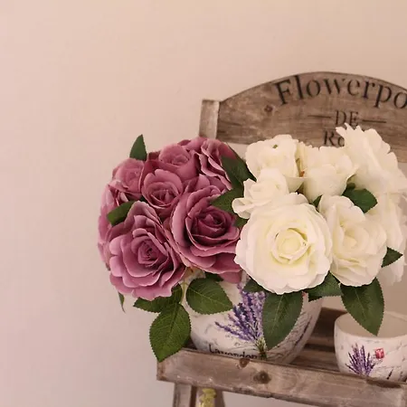 Διαμέρισμα Modern